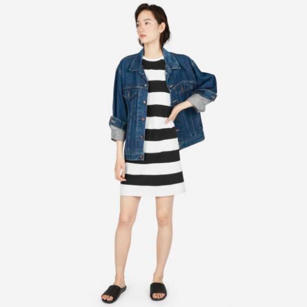 Everlane Black and White Striped Dress